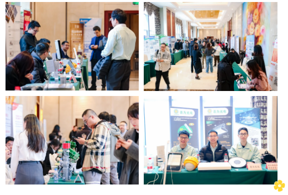 1740982306623158.png 1740982302266.png